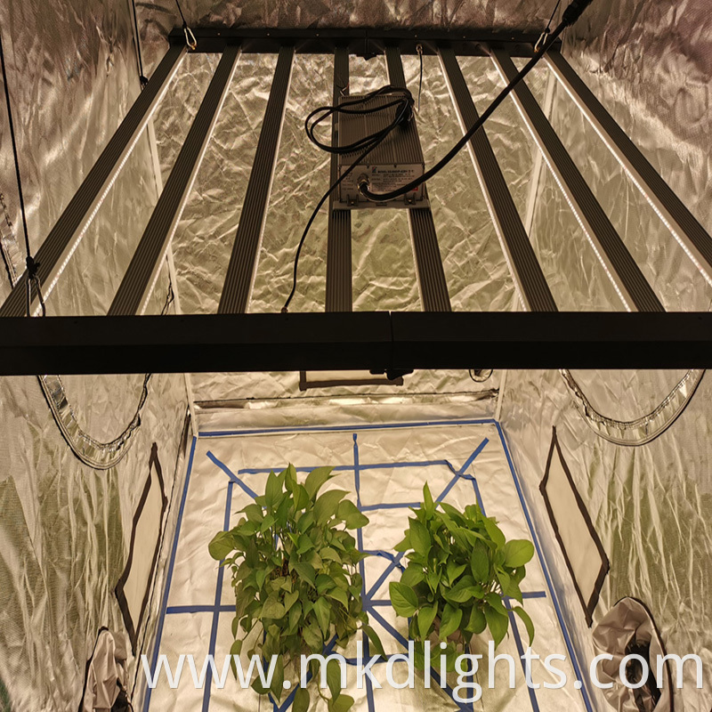 Led Veg Light